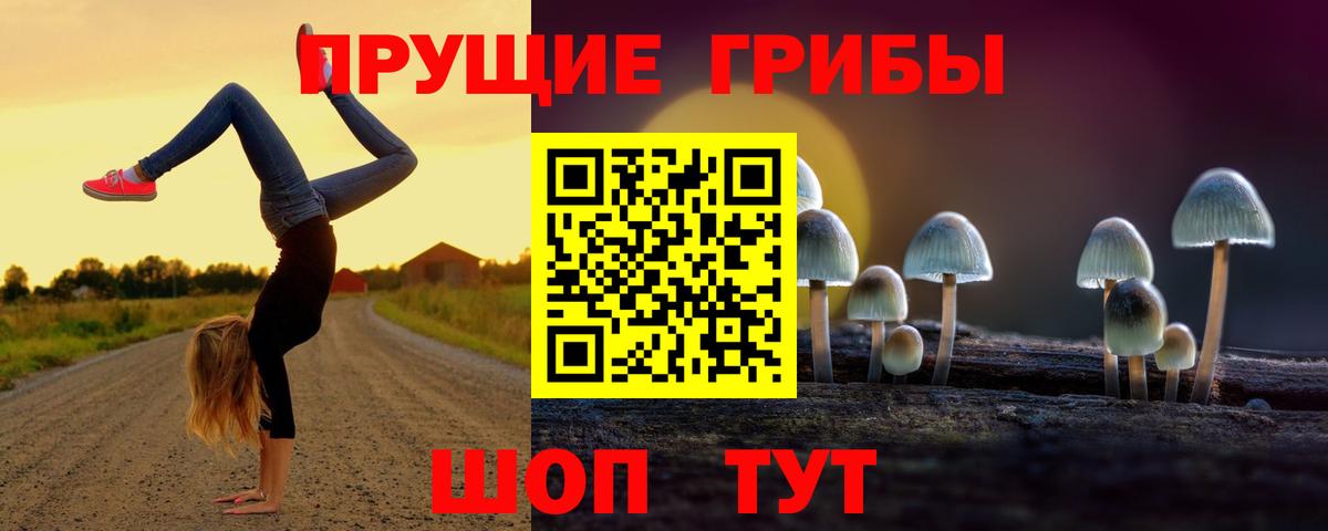 Псилоцибиновые грибы GOLDEN TEACHER Новодвинск
